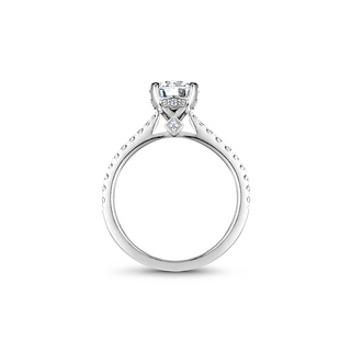 Noam Carver Solitaire Engagement Ring B142-02A