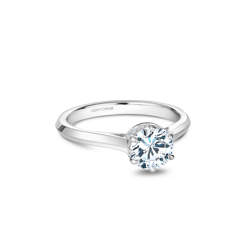 Noam Carver Solitaire Engagement Ring B242-01A