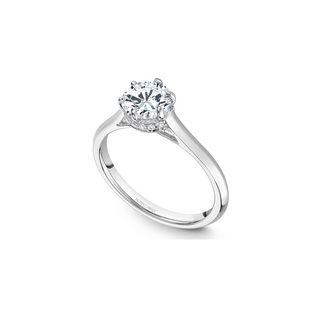Noam Carver Solitaire Engagement Ring B242-01A