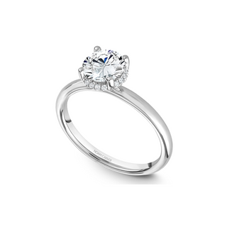 Noam Carver Solitaire Engagement Ring B263-02A