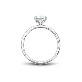 Noam Carver Solitaire Engagement Ring B265-02A