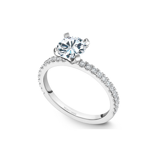 Noam Carver Solitaire Engagement Ring B270-01A