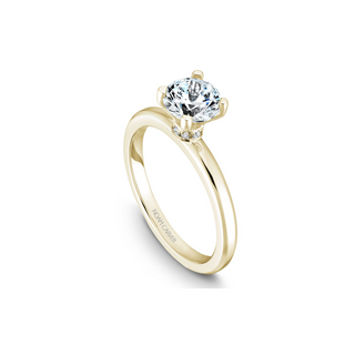 Noam Carver Solitaire Engagement Ring B012-02YA