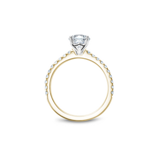 Noam Carver Solitaire Engagement Ring B101-01YWA