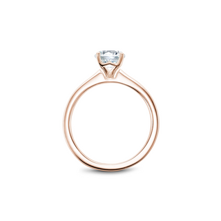 Noam Carver Solitaire Engagement Ring B101-02RA