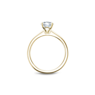 Noam Carver Solitaire Engagement Ring B101-02YA