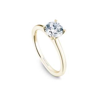 Noam Carver Solitaire Engagement Ring B101-02YA