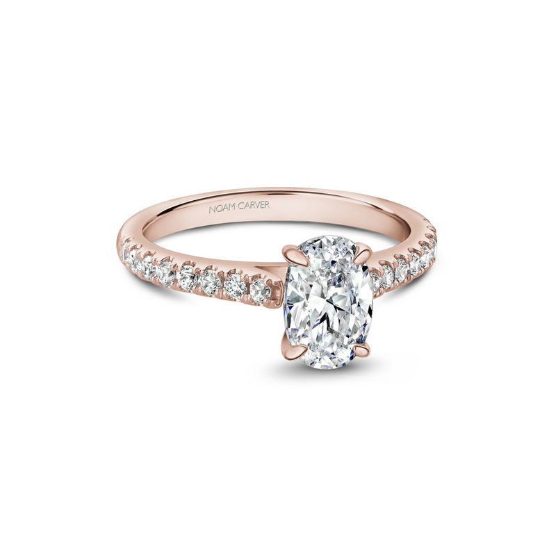Noam Carver Solitaire Engagement Ring B238-02RA