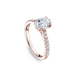 Noam Carver Solitaire Engagement Ring B238-02RA