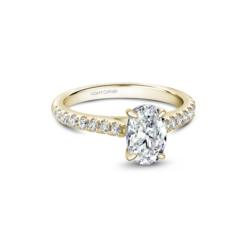 Noam Carver Solitaire Engagement Ring B238-02YA