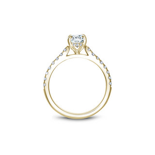 Noam Carver Solitaire Engagement Ring B238-02YA
