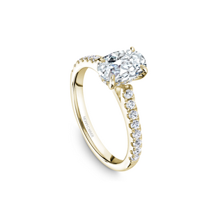 Noam Carver Solitaire Engagement Ring B238-02YA