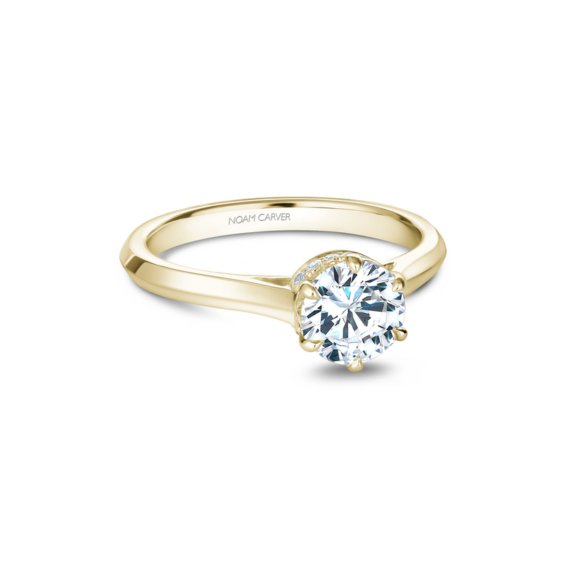Noam Carver Solitaire Engagement Ring B242-01YA
