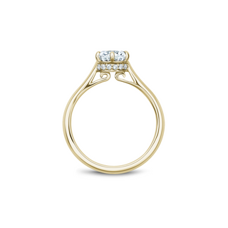 Noam Carver Solitaire Engagement Ring B242-01YA