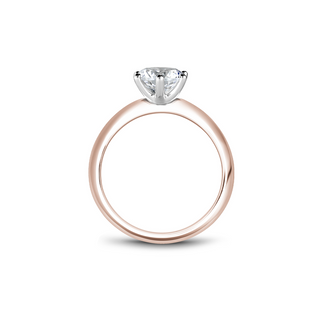Noam Carver Solitaire Engagement Ring B262-01RWA
