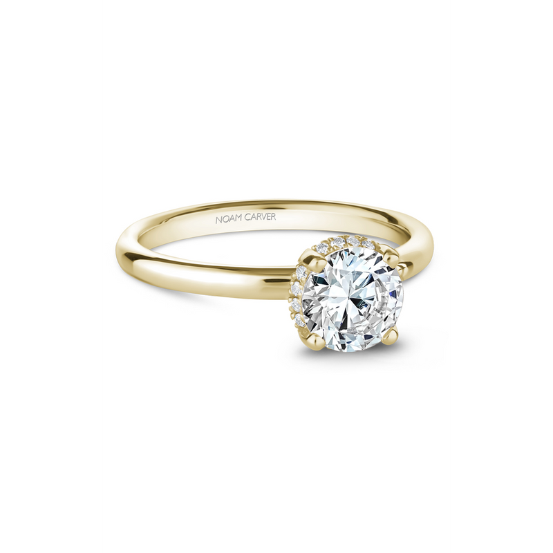 Noam Carver Solitaire Engagement Ring B263-02YA