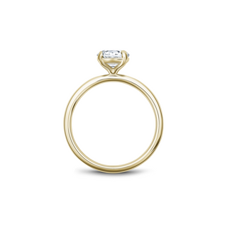 Noam Carver Solitaire Engagement Ring B265-02YA