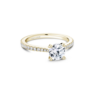 Noam Carver Solitaire Engagement Ring R046-01YA