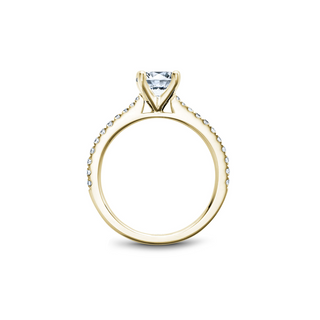 Noam Carver Solitaire Engagement Ring R046-01YA