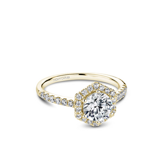 Noam Carver Halo Engagement Ring B214-01YA