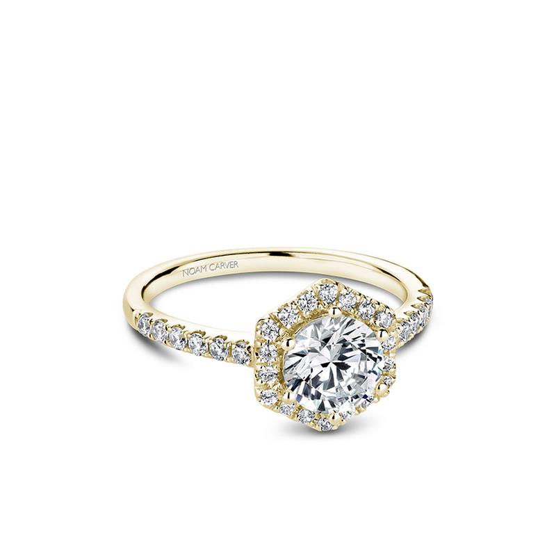 Noam Carver Halo Engagement Ring B214-01YA