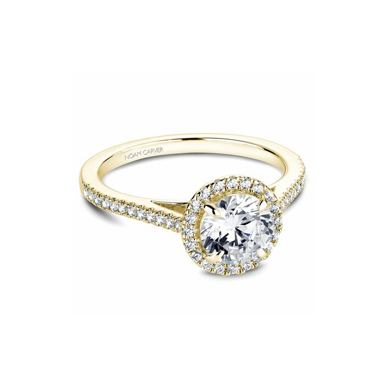 Noam Carver Halo Engagement Ring B094-02YA