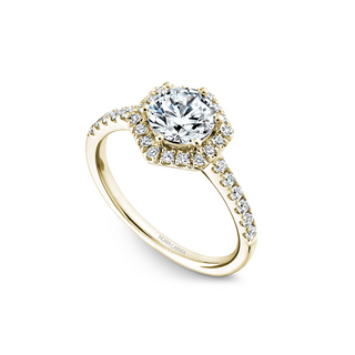Noam Carver Halo Engagement Ring B214-01YA