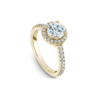Noam Carver Halo Engagement Ring B029-01YA
