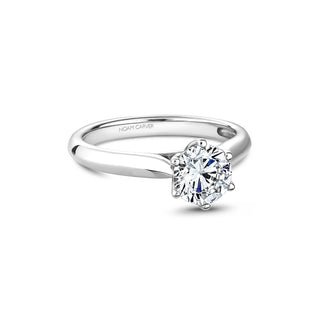 Noam Carver Bridal Engagement Ring B200-01A