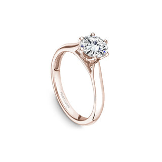 Noam Carver Bridal Engagement Ring B200-01RA