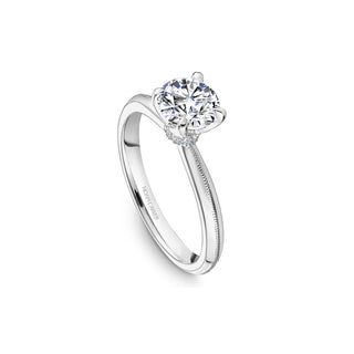 Noam Carver Bridal Engagement Ring B342-01A