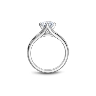 Noam Carver Bridal Engagement Ring B352-01A