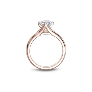 Noam Carver Bridal Engagement Ring B352-01RA