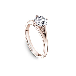 Noam Carver Bridal Engagement Ring B352-01RA