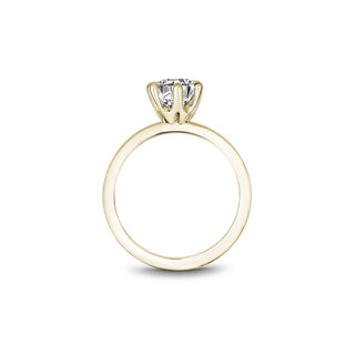 Noam Carver Bridal Engagement Ring B370-01YA