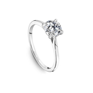 Noam Carver Bridal Engagement Ring B507-02A