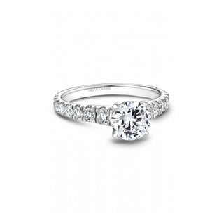 Noam Carver Bridal Engagement Ring B519-01A