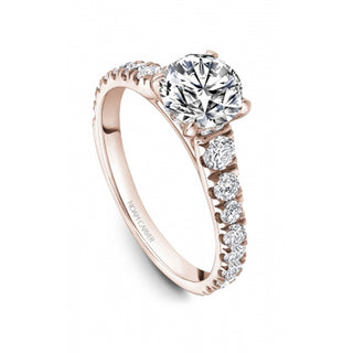 Noam Carver Bridal Engagement Ring B519-01RA