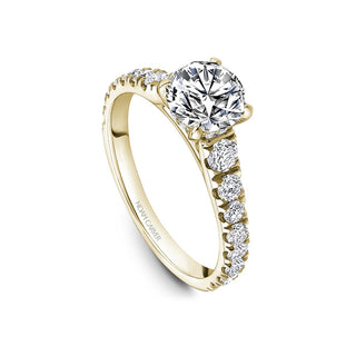 Noam Carver Bridal Engagement Ring B519-01YA