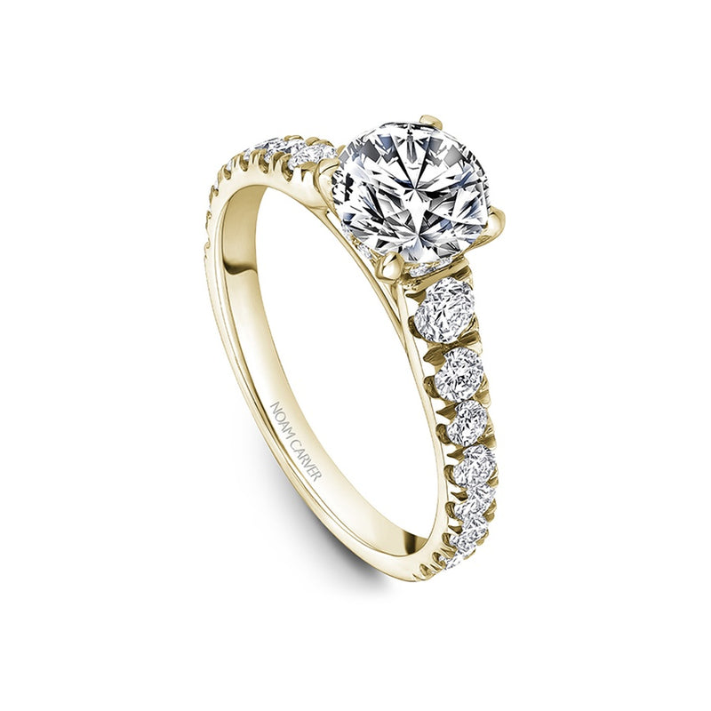 Noam Carver Bridal Engagement Ring B519-01YA