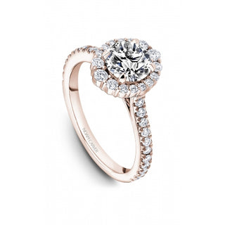 Noam Carver Bridal Engagement Ring B521-01RA