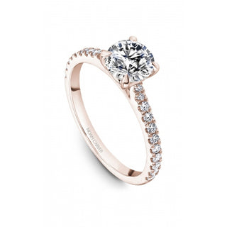 Noam Carver Bridal Engagement Ring B525-01RA