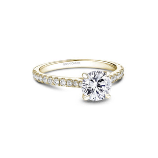Noam Carver Bridal Engagement Ring B525-01YA
