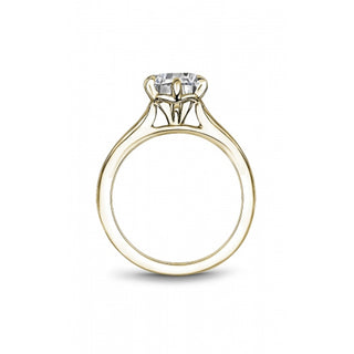Noam Carver Bridal Engagement Ring R065-01YA