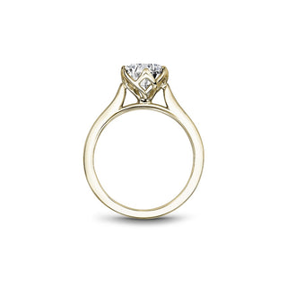 Noam Carver Bridal Engagement Ring R078-01YA