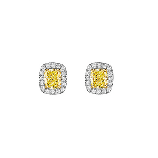 Henri Daussi Earrings FCE1Y
