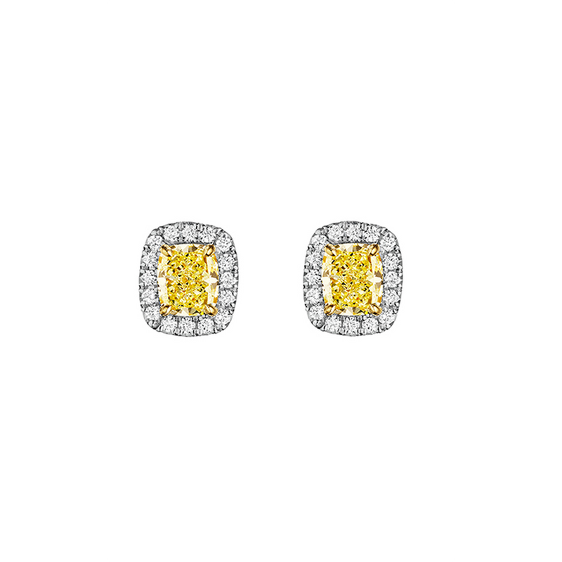 Henri Daussi Earrings FCE1Y