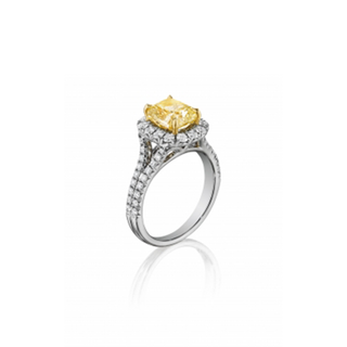 Henri Daussi Fancy Colors Engagement Ring AMDSY