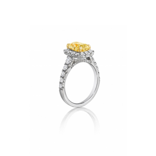 Henri Daussi Fancy Colors Engagement Ring AVY