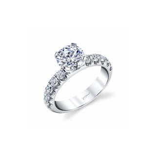 Coast Diamond Charisma Engagement Ring LS10178